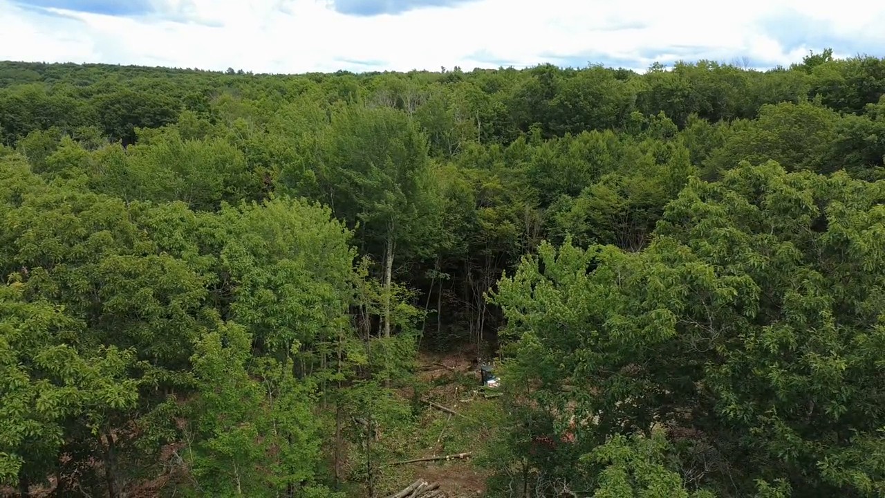 Aerial view of the Juniper Ridge lot on Blenheim Hill near Jefferson, NY, in July 2026: dense hardwood forest around the small new clearing for the cabin site