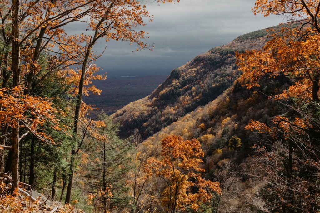 Autumn color on a steep Catskills mountainside under grey clouds, near Shandaken, NY