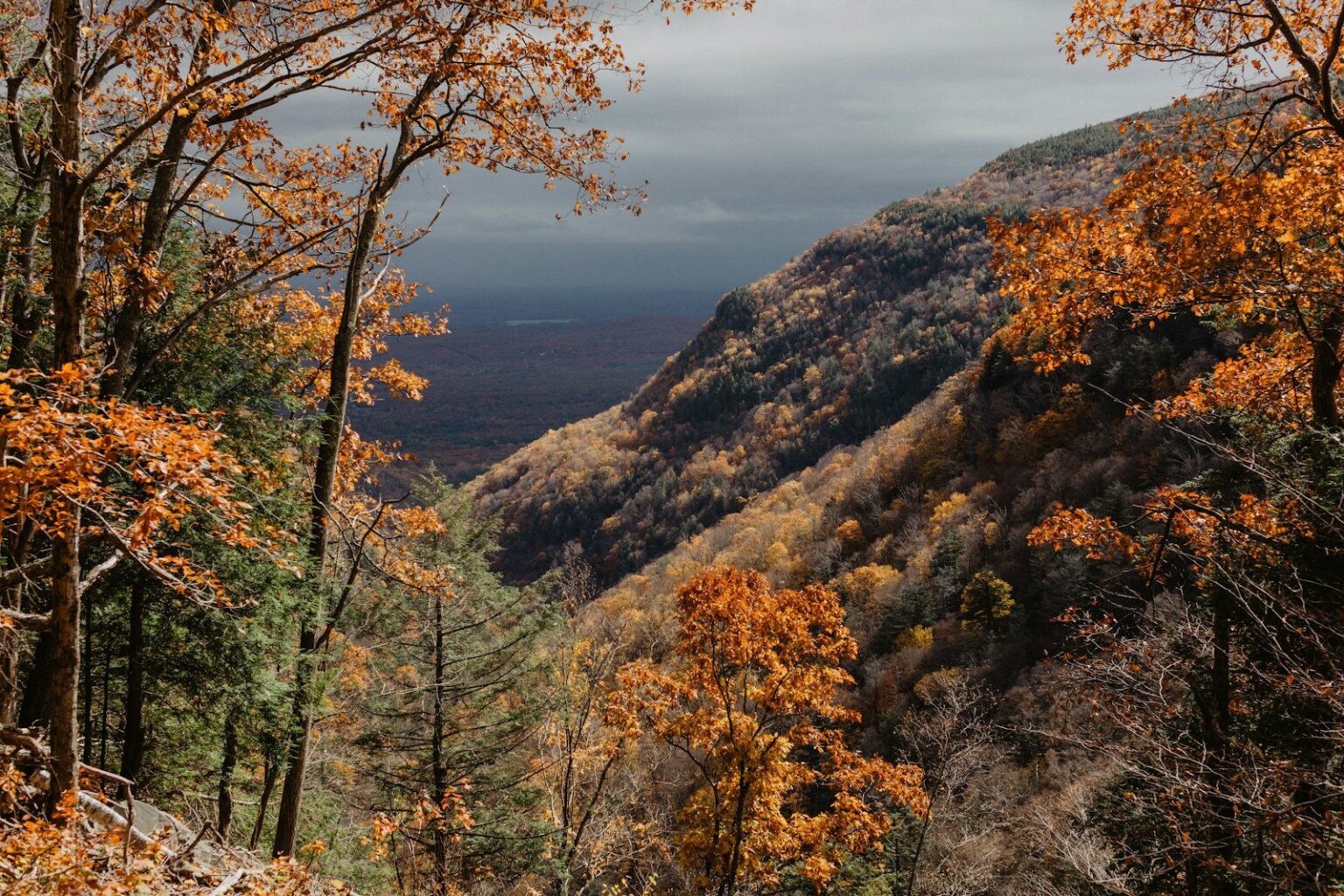 Autumn color on a steep Catskills mountainside under grey clouds, near Shandaken, NY