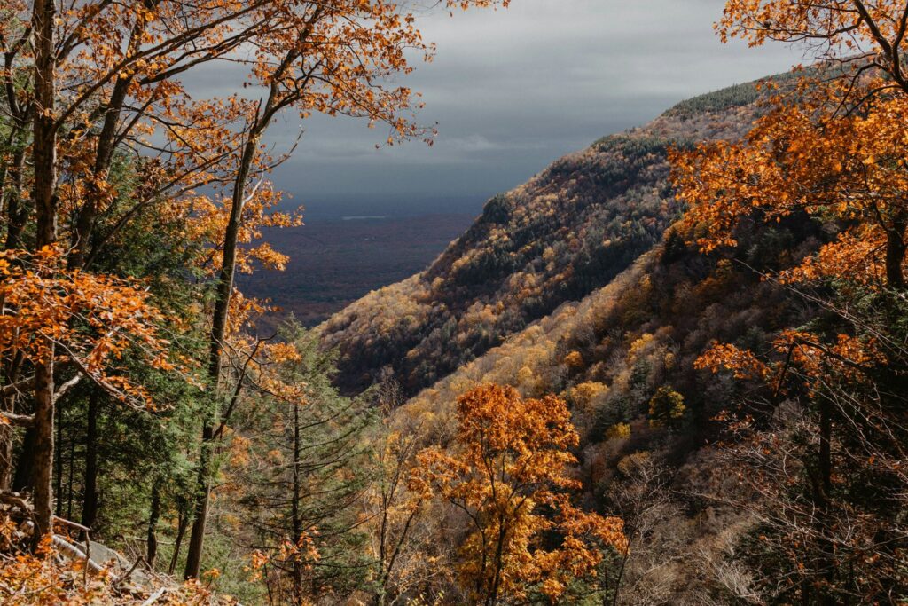 Orange and gold maples framing a steep forested Catskills clove that opens toward the Hudson Valley under grey clouds